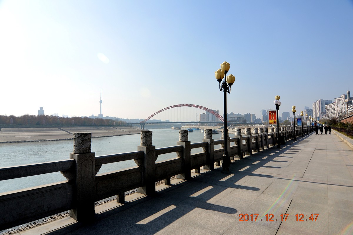 冬日里的江滩 6