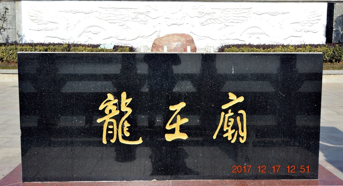 冬日里的江滩 6