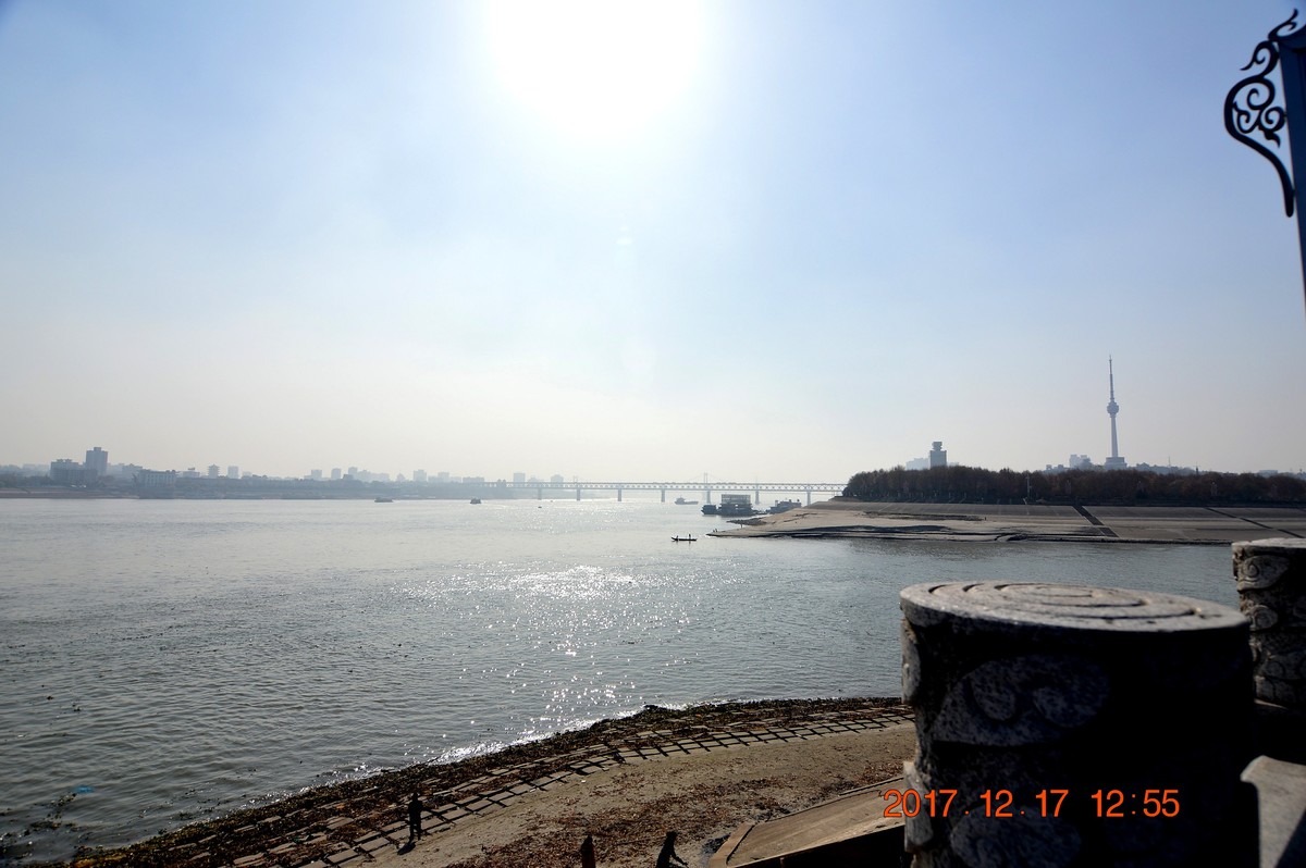 冬日里的江滩 6