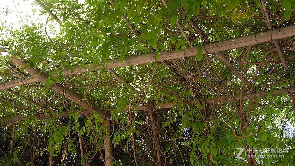 香河一城文化艺术节