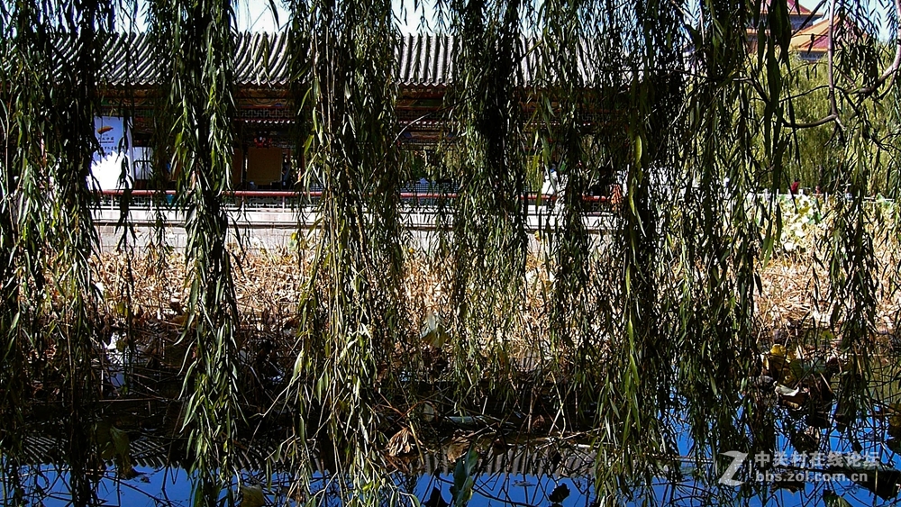 香河一城文化艺术节