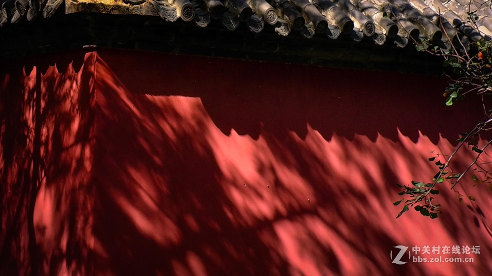 香河一城文化艺术节