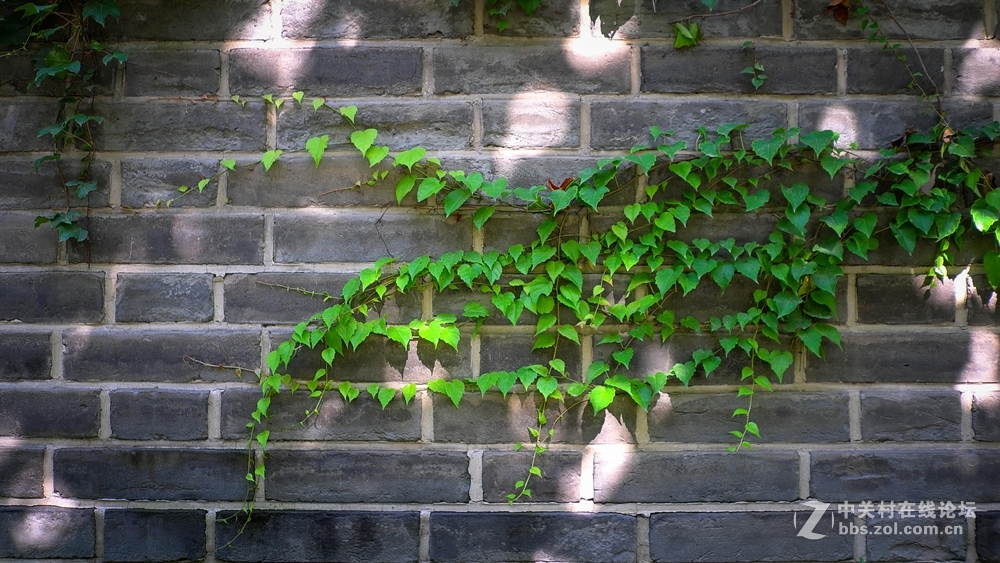 香河一城文化艺术节