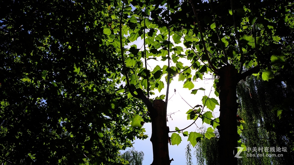 香河一城文化艺术节