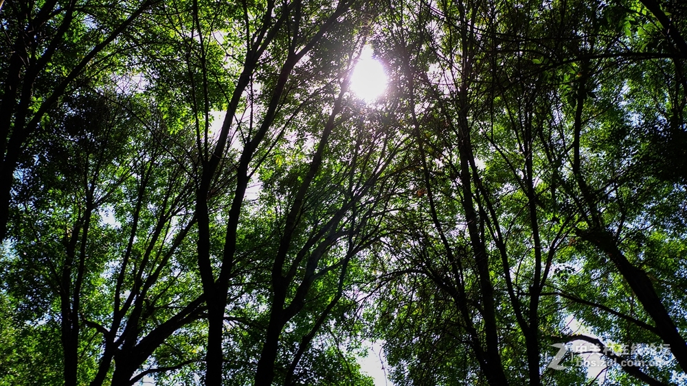 香河一城文化艺术节