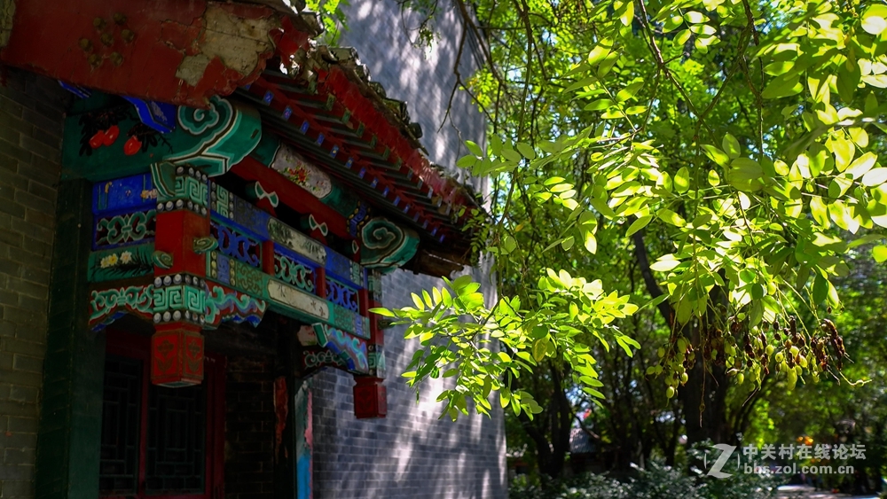 香河一城文化艺术节