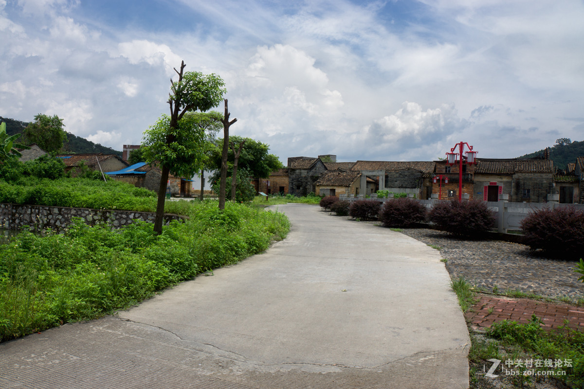 花都区花东镇港头村古村落随影