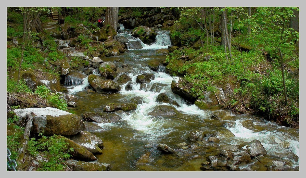 sony - SR12E 摄像机照片拍摄效果