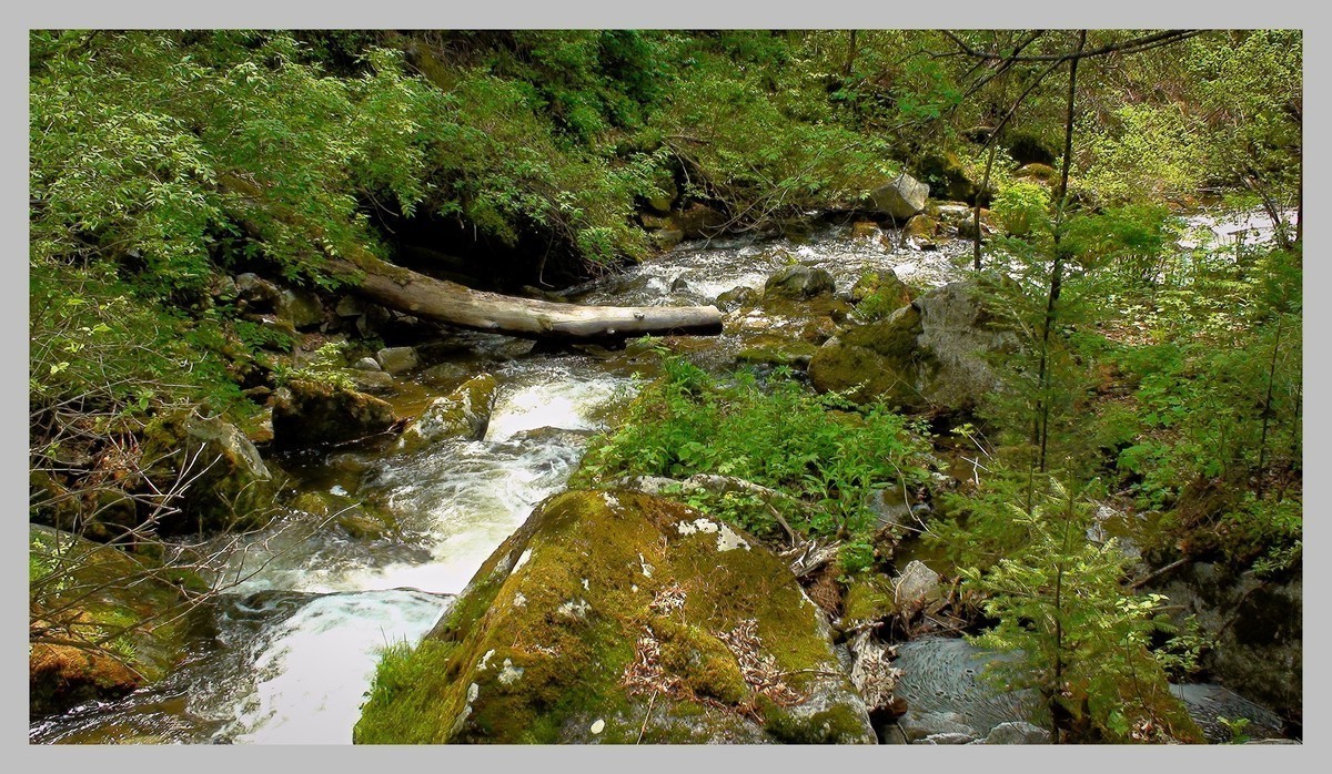 sony - SR12E 摄像机照片拍摄效果