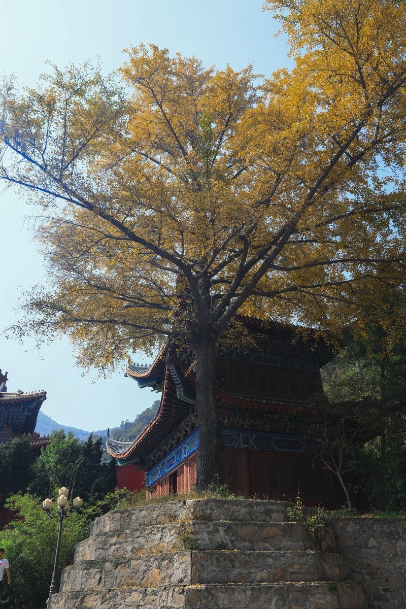 信阳灵山寺.