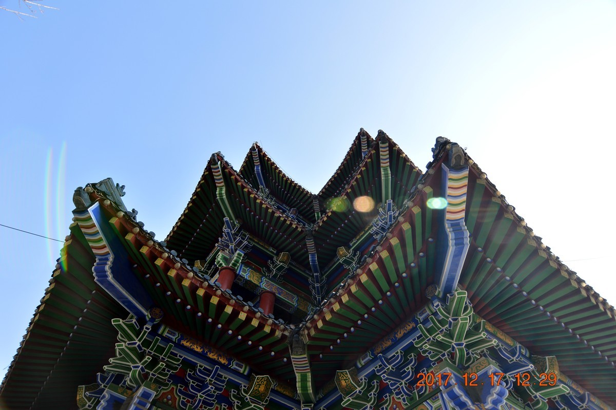 冬日里的江滩 6