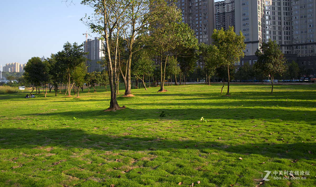 小区风景斜阳如画