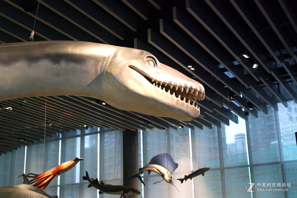 新上海自然博物馆参观记