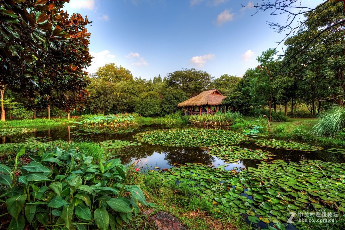 上有天堂下有苏杭西湖边唯一块湿地