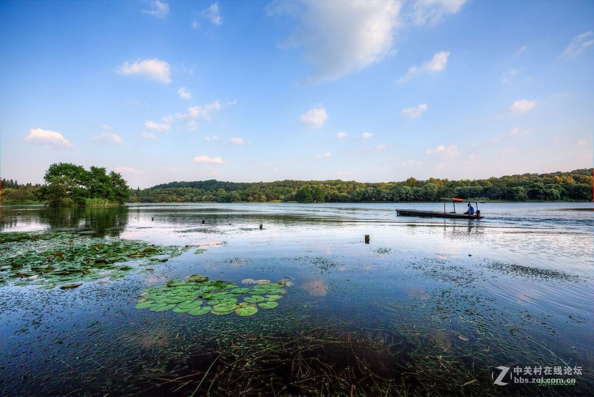 上有天堂下有苏杭西湖边唯一块湿地