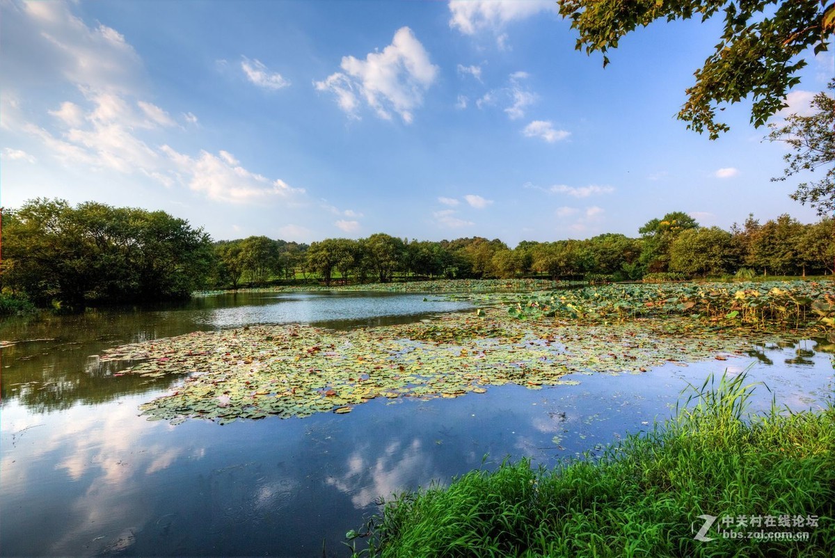 上有天堂下有苏杭西湖边唯一块湿地