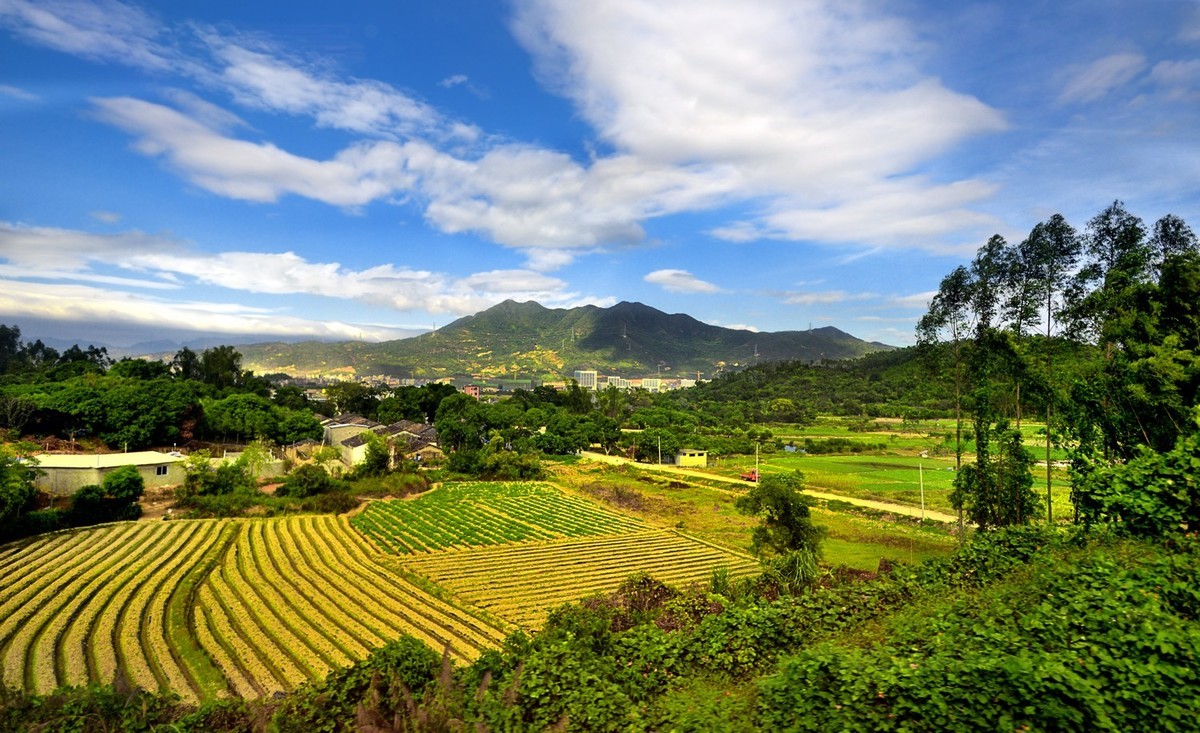 动车上拍的广东美丽乡村