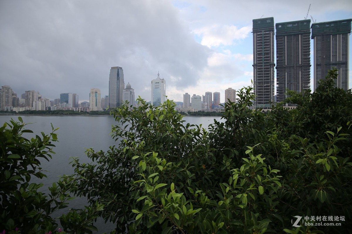 美丽的厦门白鹭洲湖边风光摄影