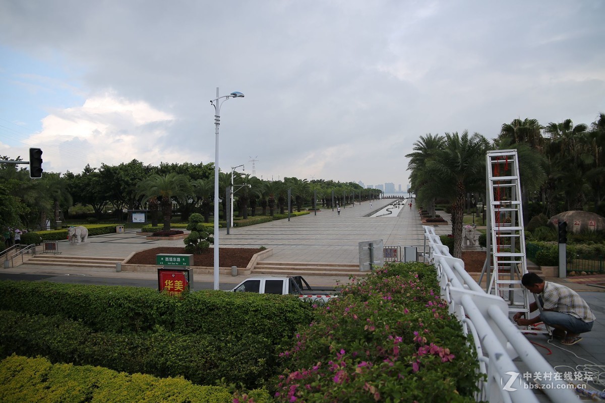 美丽的厦门白鹭洲湖边风光摄影