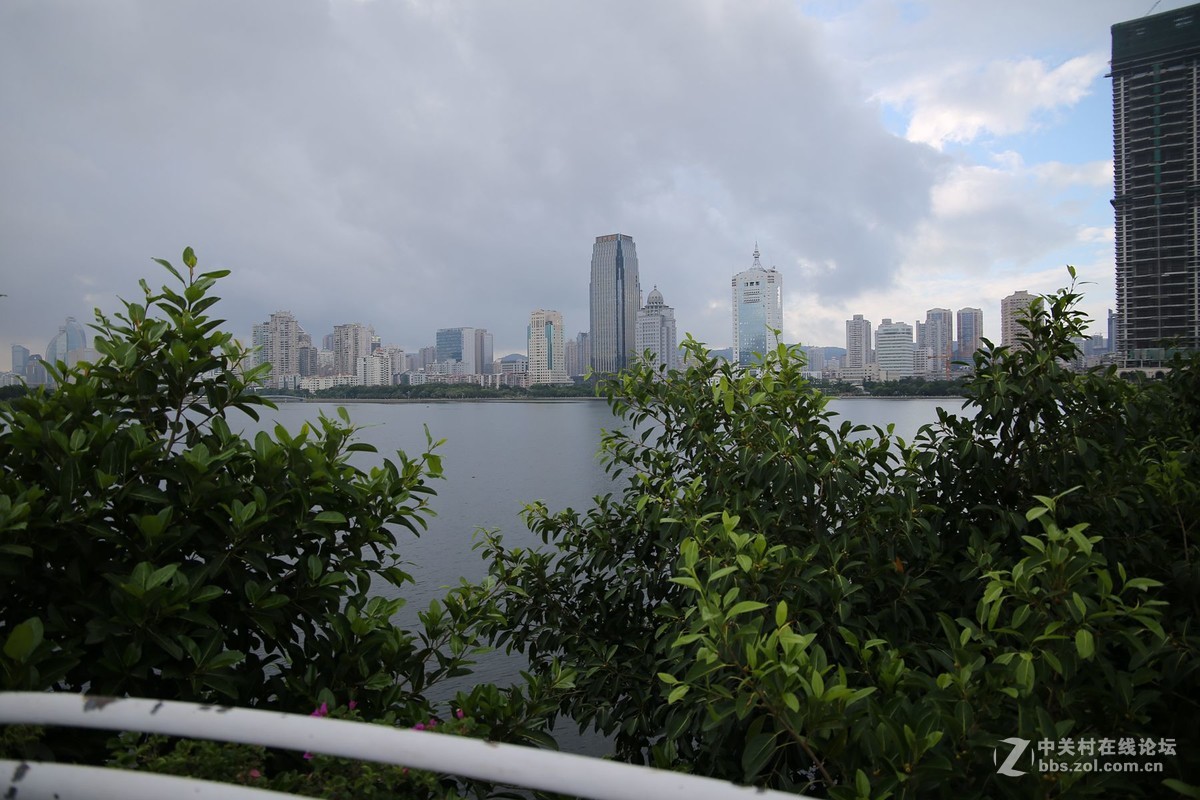 美丽的厦门白鹭洲湖边风光摄影