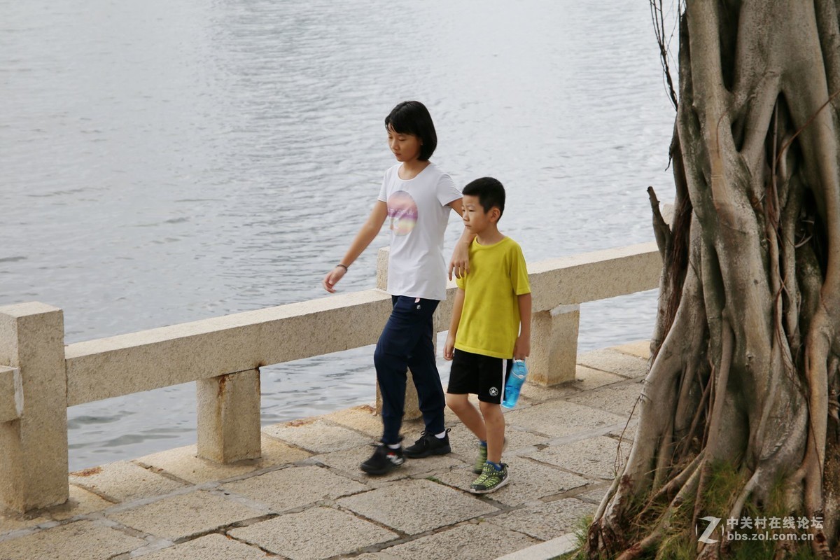 美丽的厦门白鹭洲湖边风光摄影
