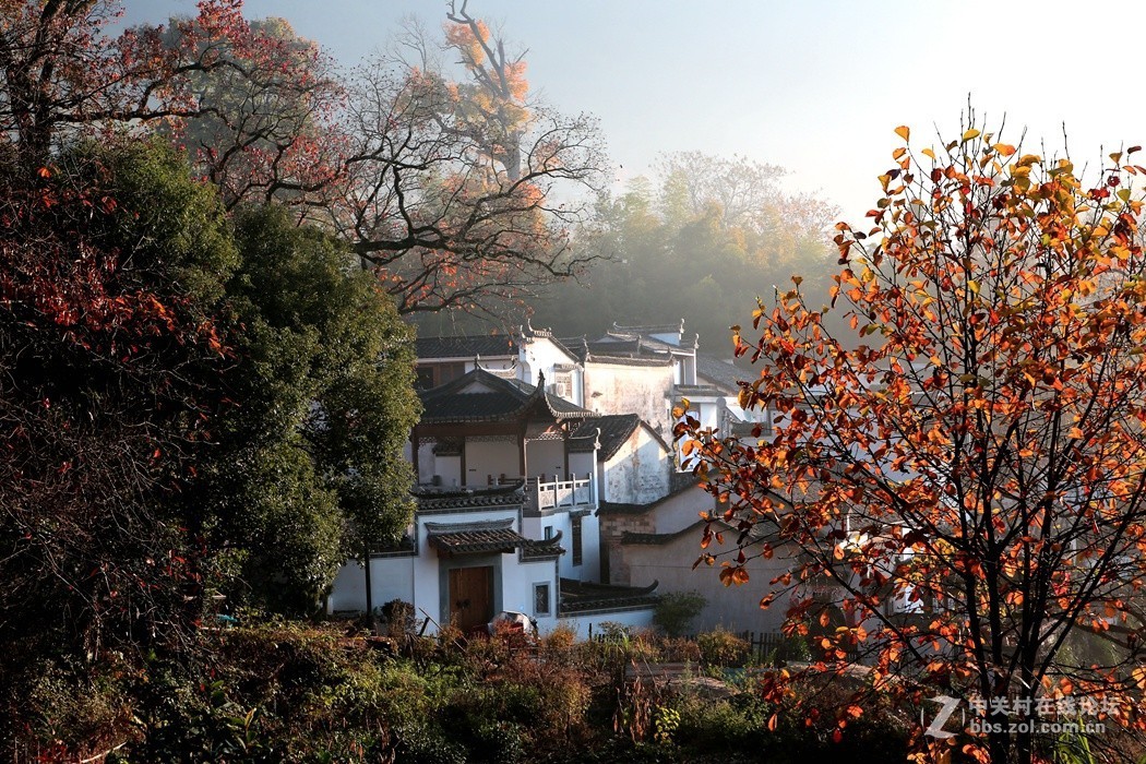 皖南婺源采风二、(秋色)、