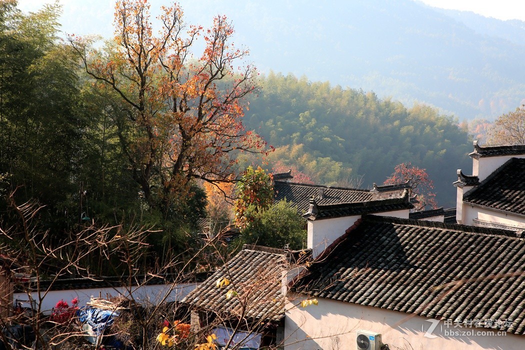 皖南婺源采风二、(秋色)、