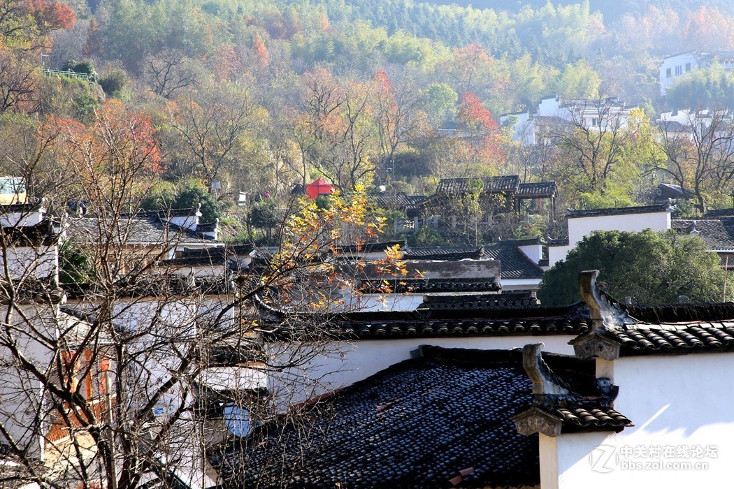 皖南婺源采风二、(秋色)、
