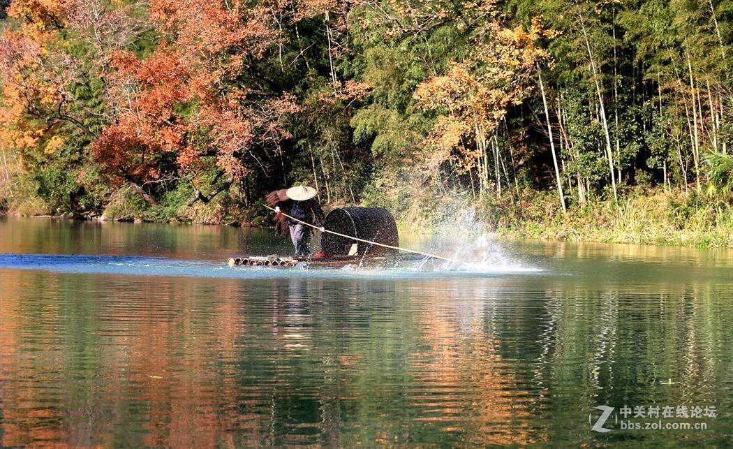 皖南婺源采风二、(秋色)、