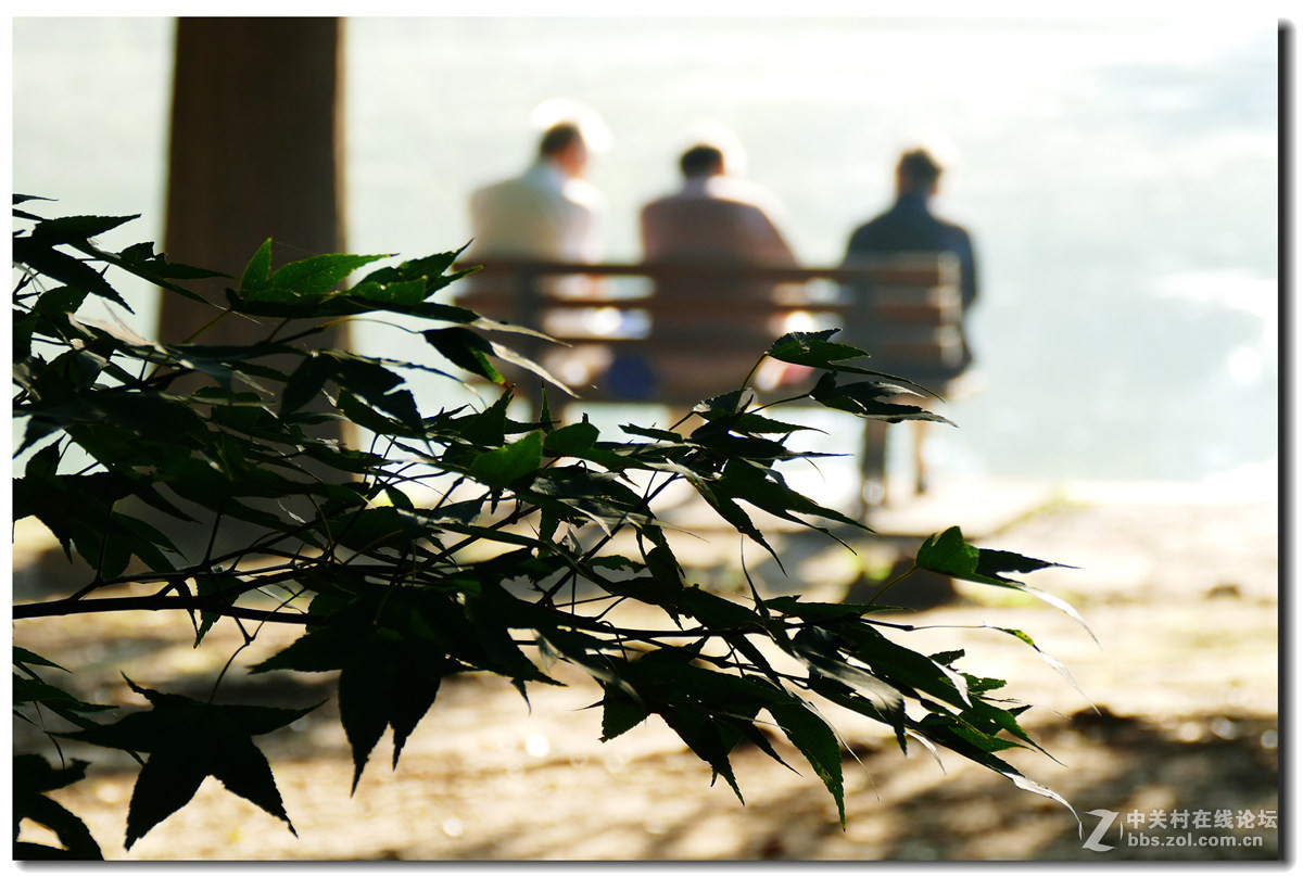 森林公园的早晨