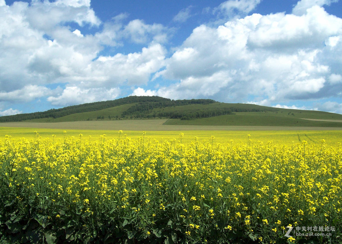 新巴尔虎左旗风光