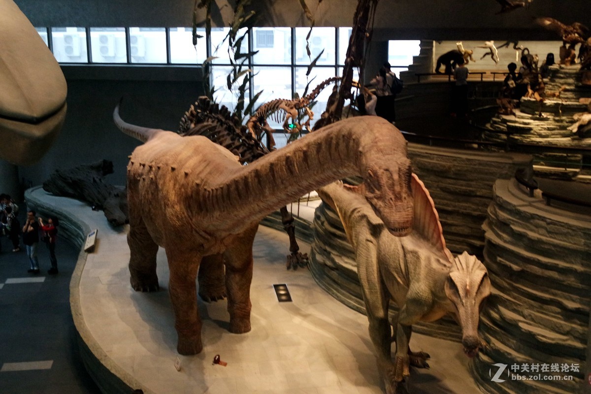 新上海自然博物馆参观记