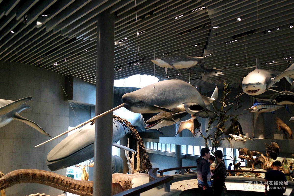 新上海自然博物馆参观记