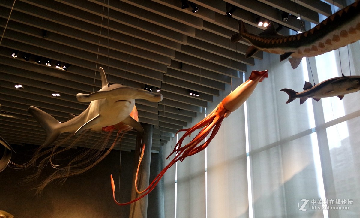 新上海自然博物馆参观记