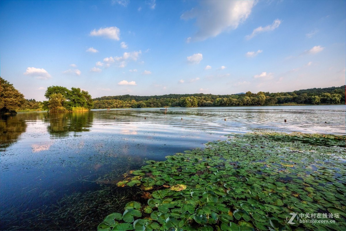 上有天堂下有苏杭西湖边唯一块湿地