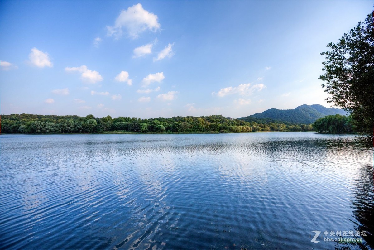 上有天堂下有苏杭西湖边唯一块湿地
