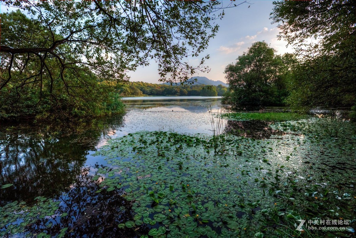 上有天堂下有苏杭西湖边唯一块湿地