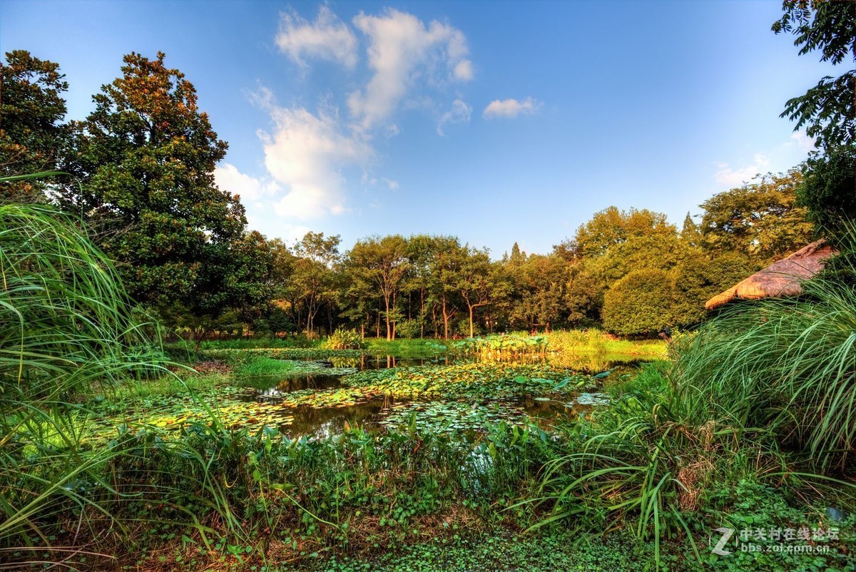 上有天堂下有苏杭西湖边唯一块湿地