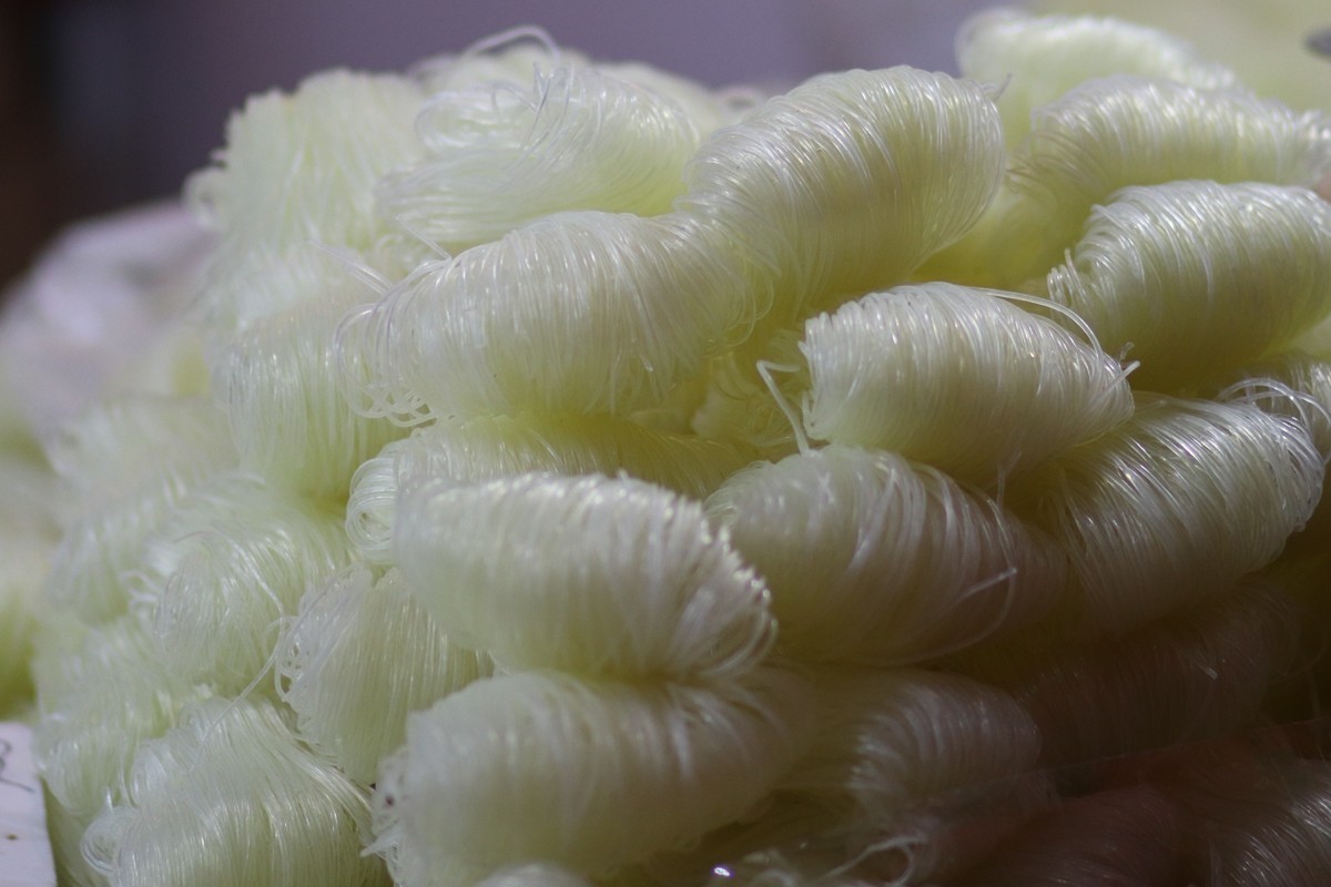 讨了个‘小媳妇’