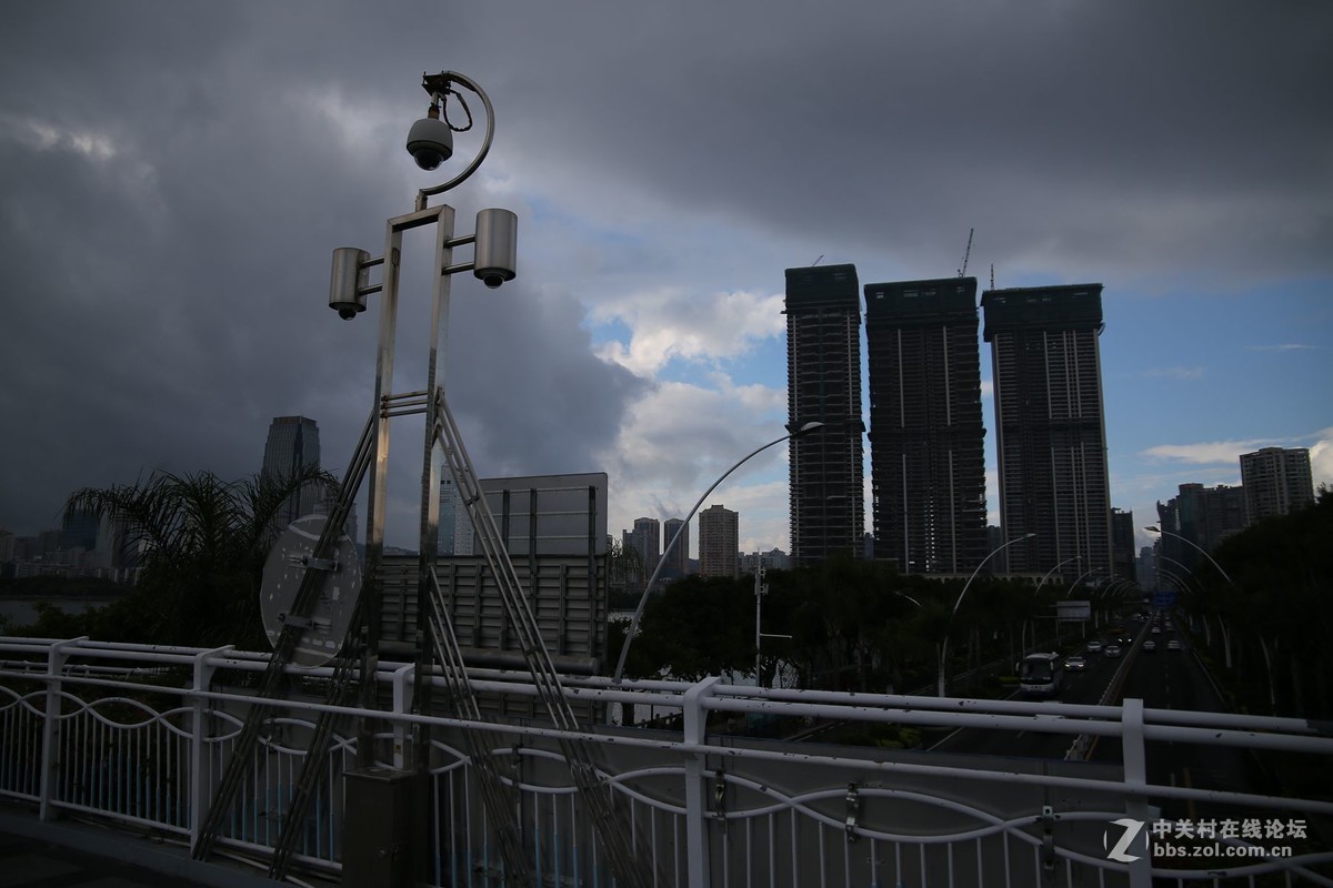 美丽的厦门白鹭洲湖边风光摄影