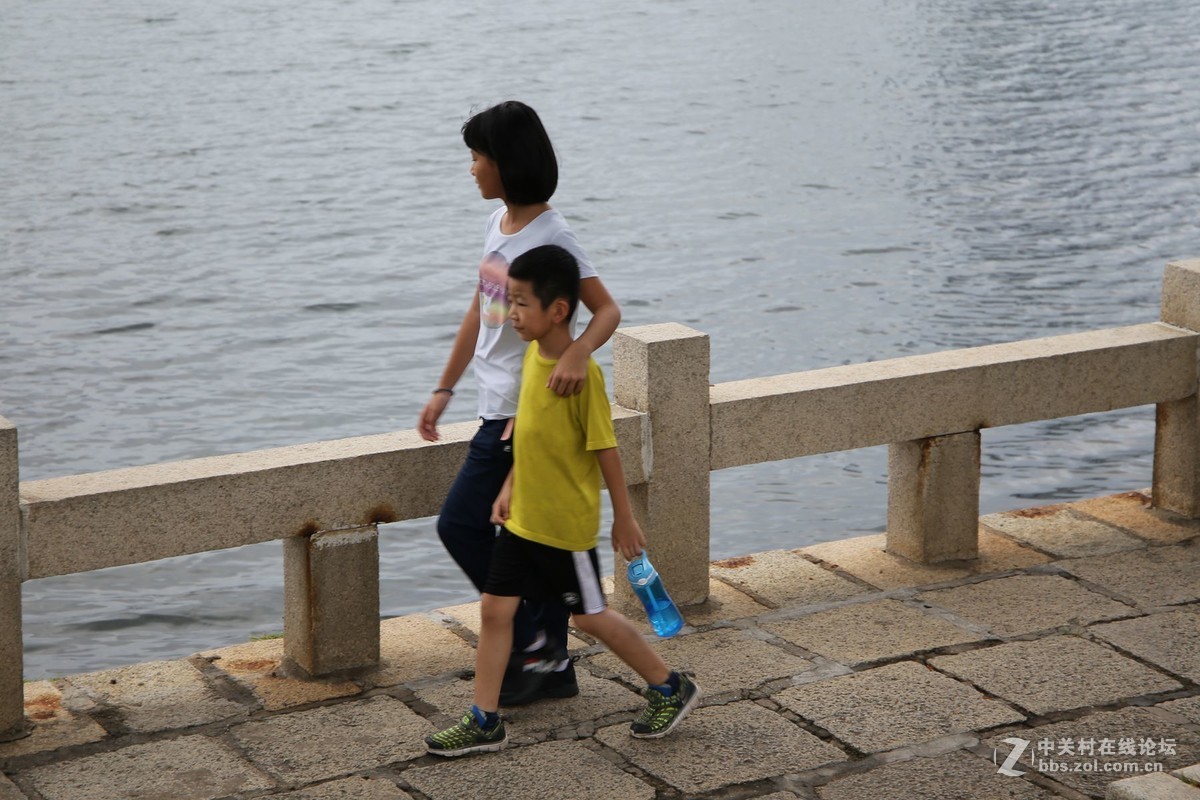 美丽的厦门白鹭洲湖边风光摄影