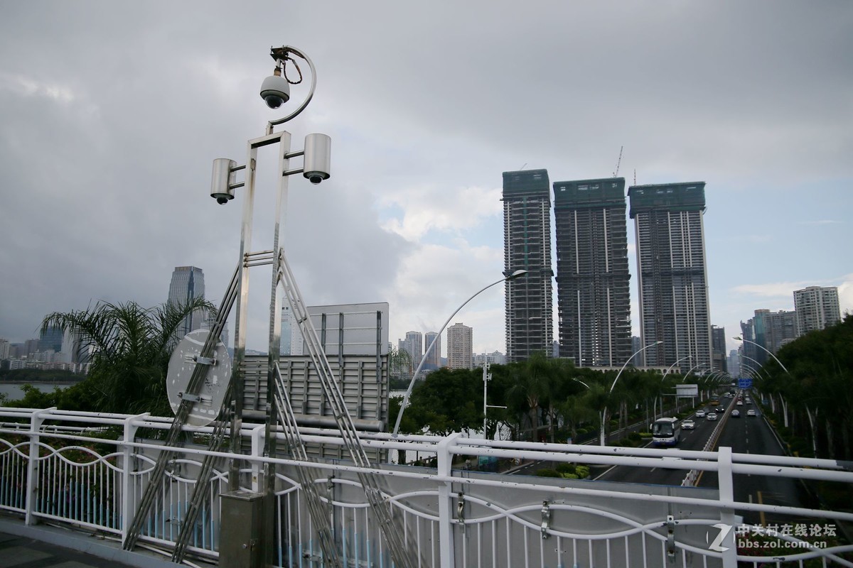 美丽的厦门白鹭洲湖边风光摄影