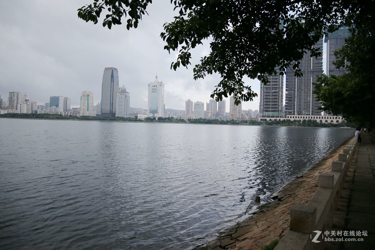 美丽的厦门白鹭洲湖边风光摄影
