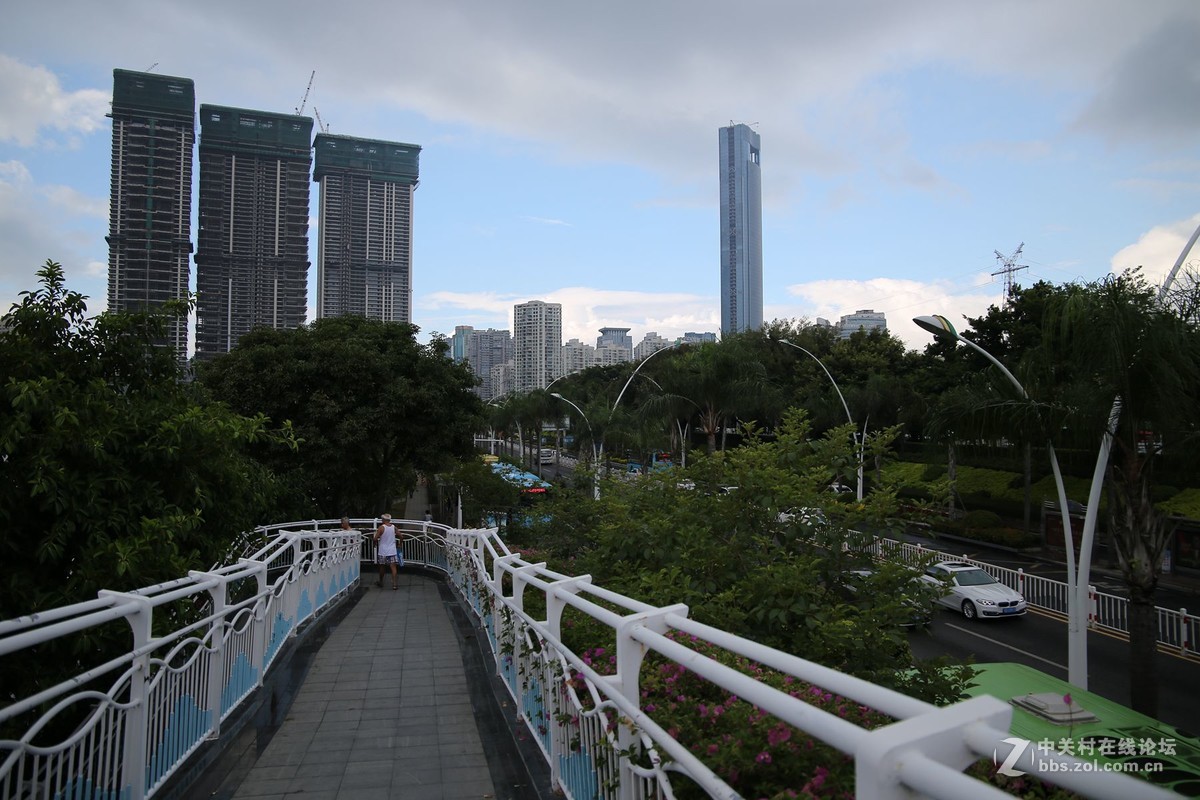 美丽的厦门白鹭洲湖边风光摄影