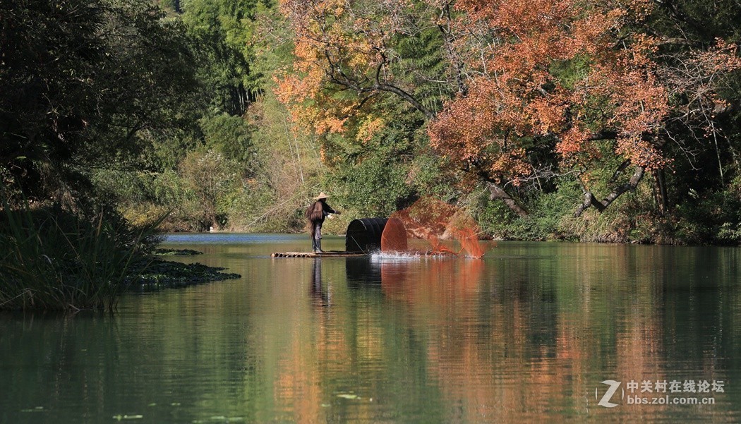 皖南婺源采风二、(秋色)、