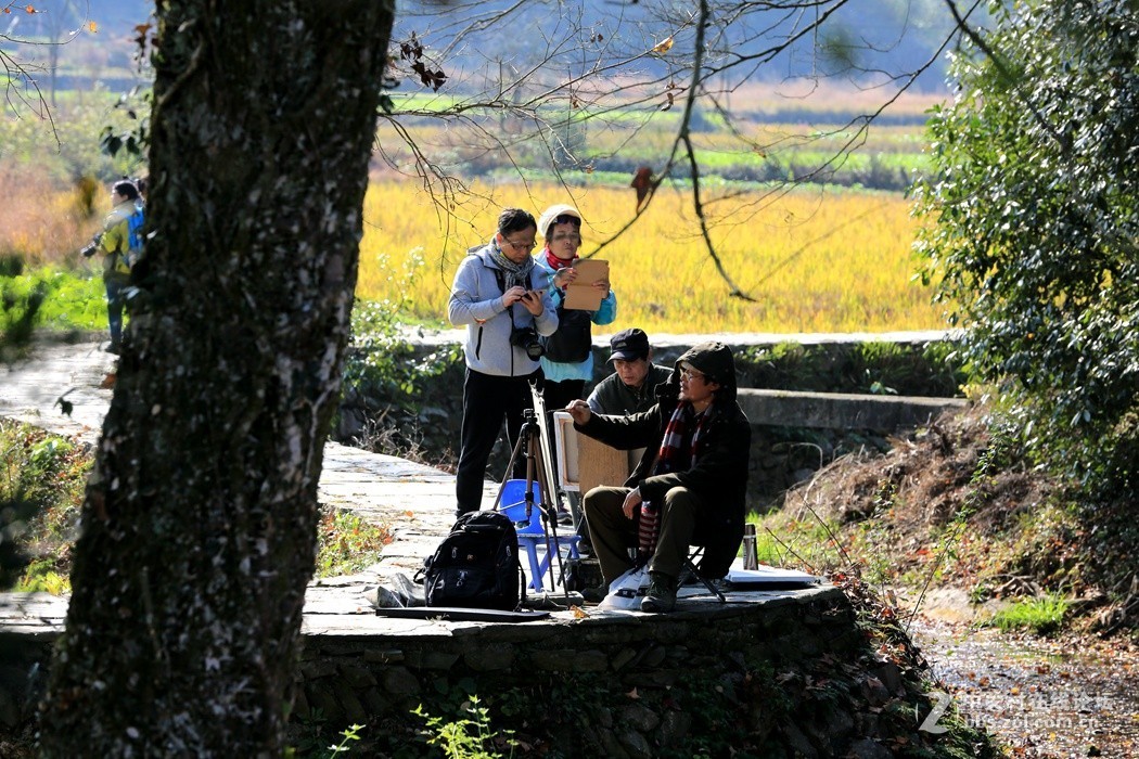 皖南婺源采风二、(秋色)、