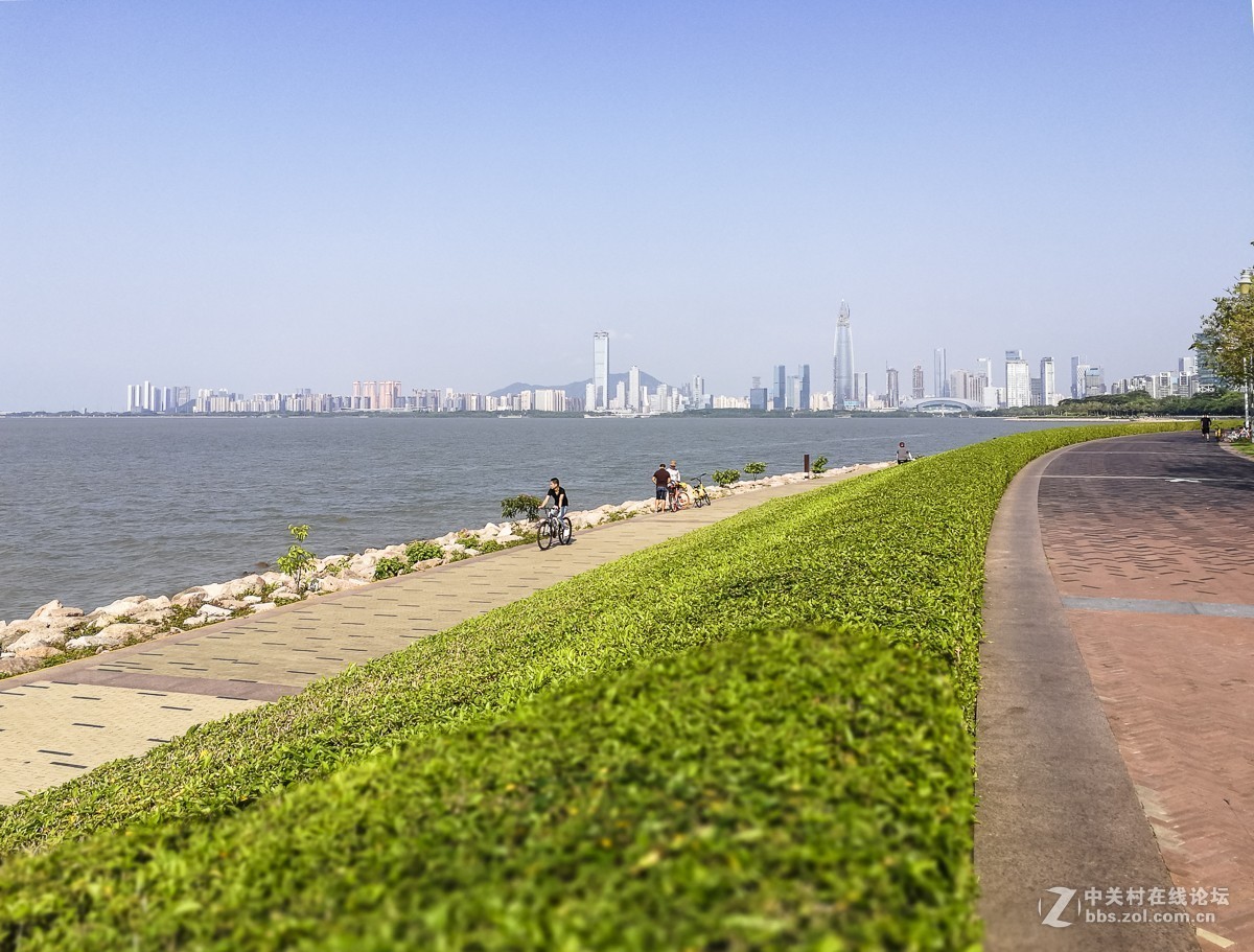 深圳红树湾公园掠影