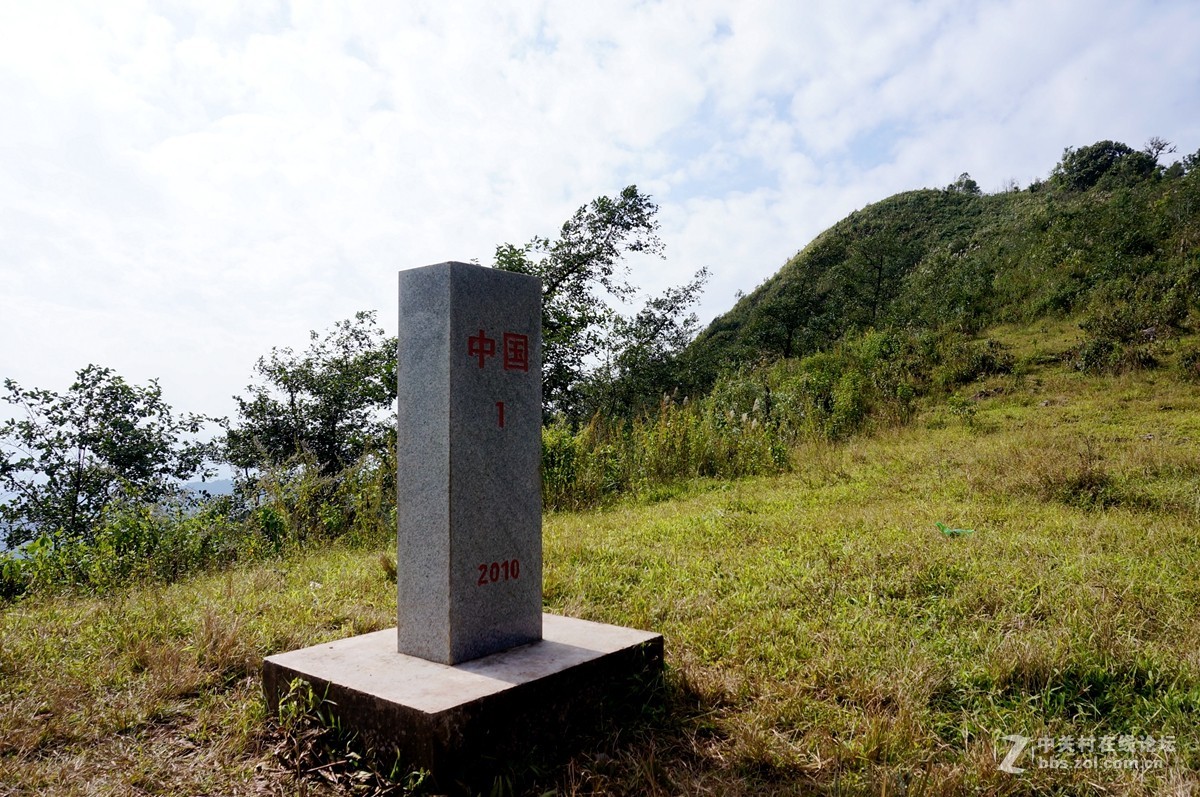 中老越三国边境十层大山中的植物活化石古桫椤