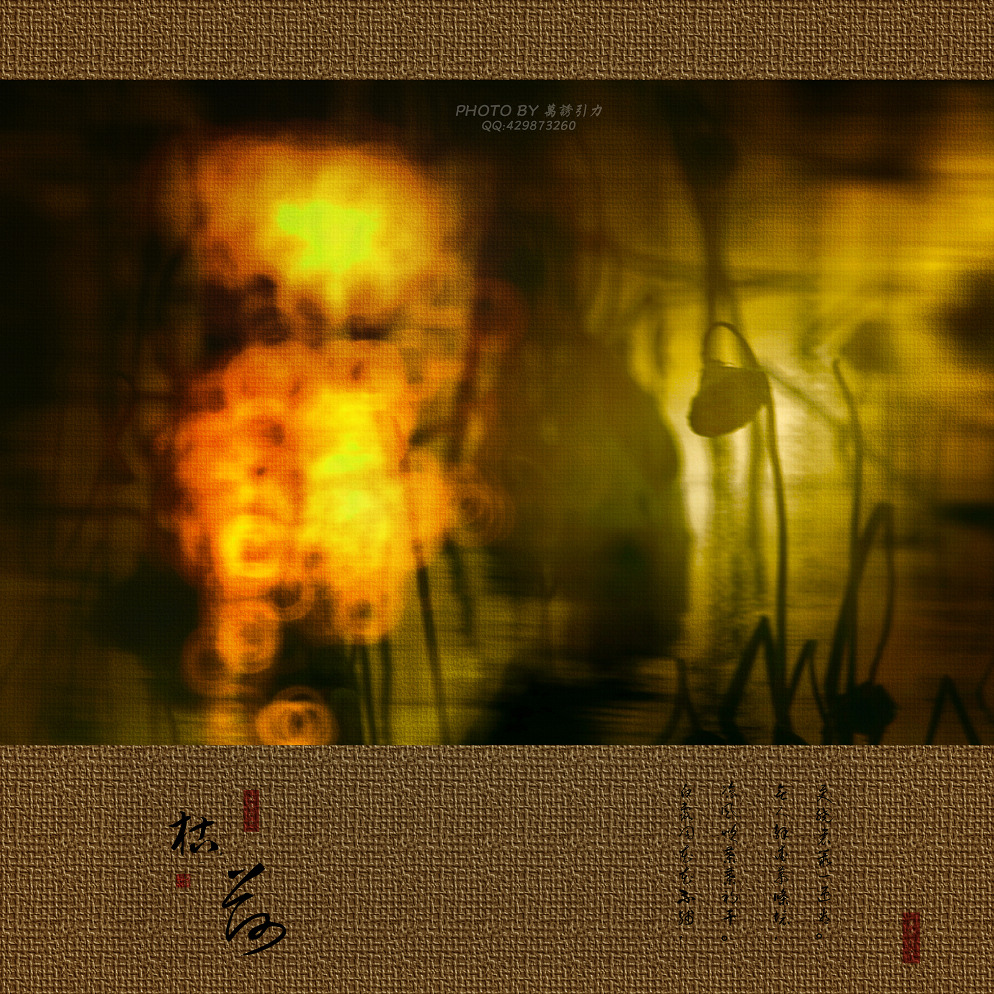 ㊣  火 烧 的 寂 寞  .....  ㊣