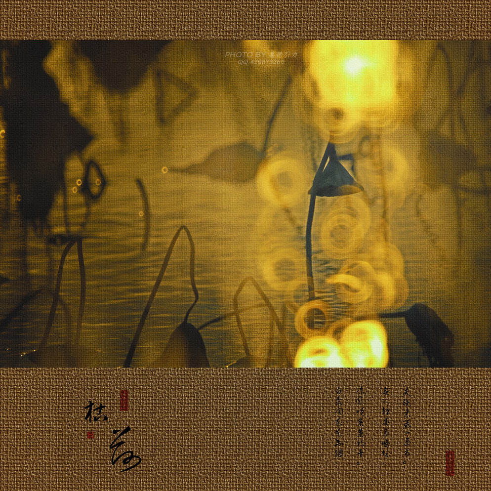 ㊣  火 烧 的 寂 寞  .....  ㊣